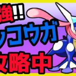 【ポケモンｓｖ】ヤドラン 大活躍！！！！　