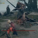 【エルデンリング】獅子の混種(混種の戦士・聖騎士)が倒せない人必見！！！　攻略動画をまとめてみたよ！！！