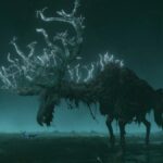 【エルデンリング】祖霊の王が倒せない人必見！！！　攻略動画をまとめてみたよ！！！