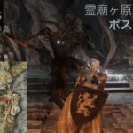 【エルデンリング】墓所影が倒せない人必見！！！　攻略動画をまとめてみたよ！！！