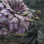 【エルデンリング】ミランダが倒せない人必見！！！　攻略動画をまとめてみたよ！！！