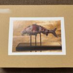 【SEKIRO】ぬしの色鯉イベントをまとめてみたよ！！！